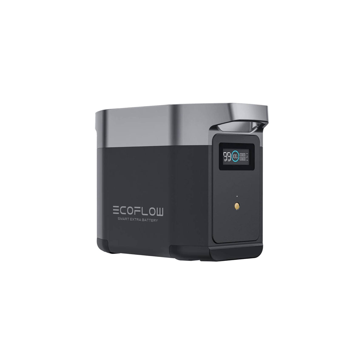 Batterie intelligente supplémentaire EcoFlow DELTA 2(Noir/Argent)